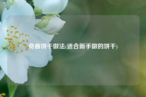 奇曲饼干做法(适合新手做的饼干)