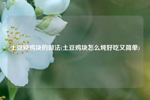 土豆炖鸡块的做法(土豆鸡块怎么炖好吃又简单)