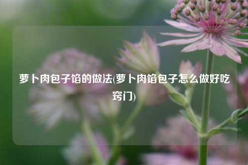 萝卜肉包子馅的做法(萝卜肉馅包子怎么做好吃窍门)