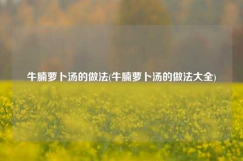 牛腩萝卜汤的做法(牛腩萝卜汤的做法大全)