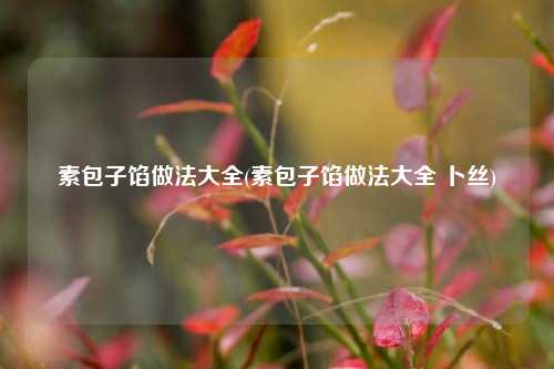 素包子馅做法大全(素包子馅做法大全 卜丝)
