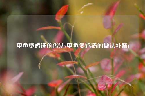 甲鱼煲鸡汤的做法(甲鱼煲鸡汤的做法补肾)