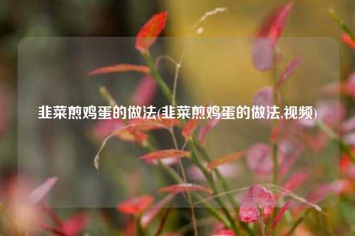 韭菜煎鸡蛋的做法(韭菜煎鸡蛋的做法,视频)