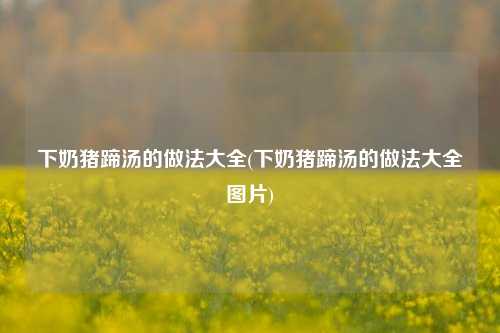 下奶猪蹄汤的做法大全(下奶猪蹄汤的做法大全图片)