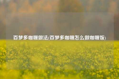 百梦多咖喱做法(百梦多咖喱怎么做咖喱饭)
