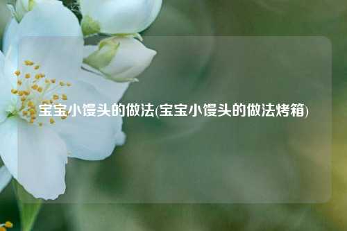 宝宝小馒头的做法(宝宝小馒头的做法烤箱)