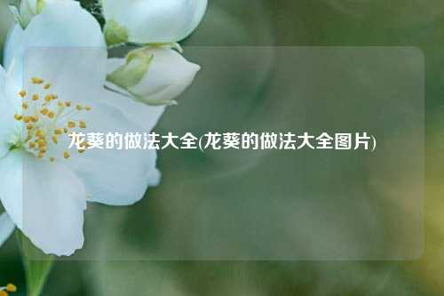 龙葵的做法大全(龙葵的做法大全图片)