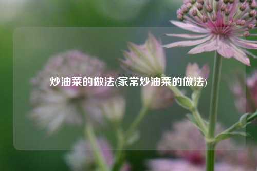 炒油菜的做法(家常炒油菜的做法)