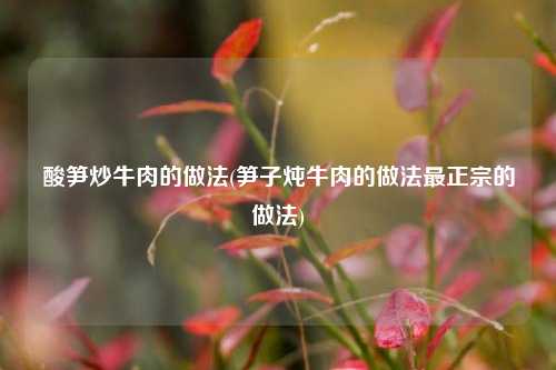 酸笋炒牛肉的做法(笋子炖牛肉的做法最正宗的做法)