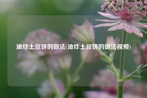 油炸土豆饼的做法(油炸土豆饼的做法视频)