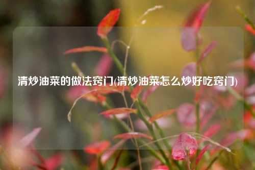 清炒油菜的做法窍门(清炒油菜怎么炒好吃窍门)
